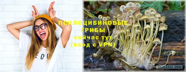 СК Алексин