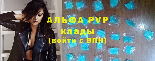 СК Алексин