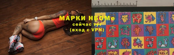 хмурый Алексеевка